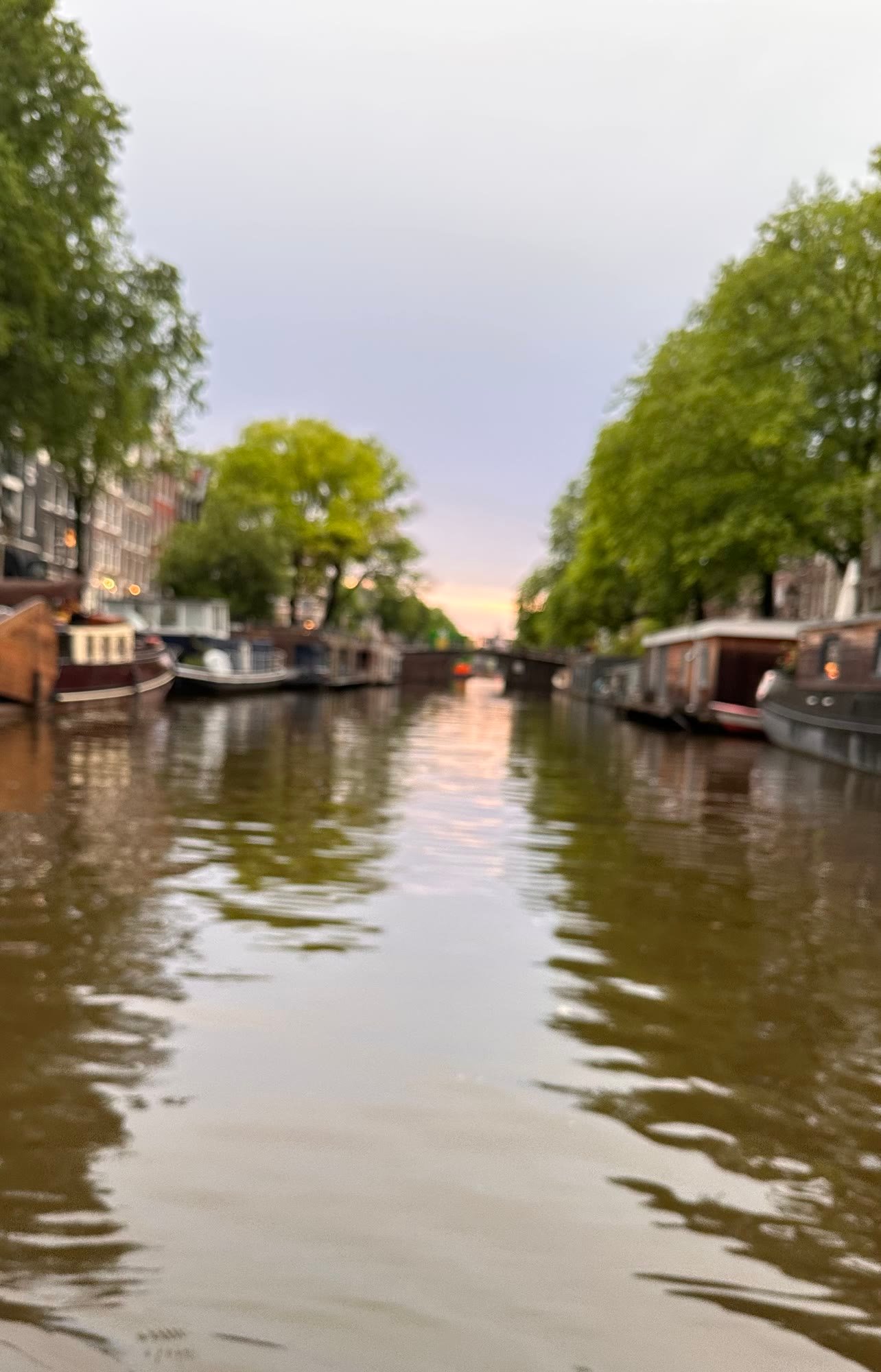 Quiet Amsterdam canal with houseboats at dusk