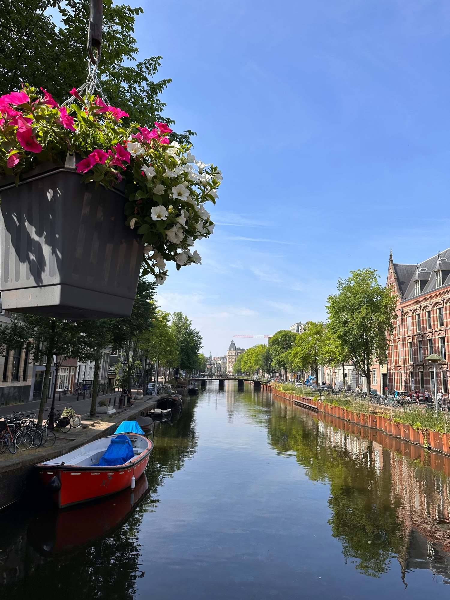 Sunny Amsterdam canal with flower pot and bikes