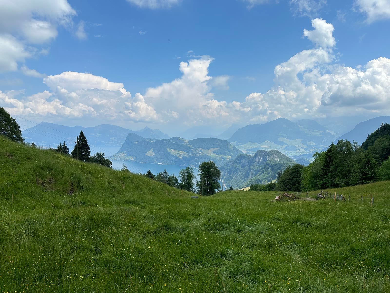 Green alpine meadow overlooking a blue lake and mountains