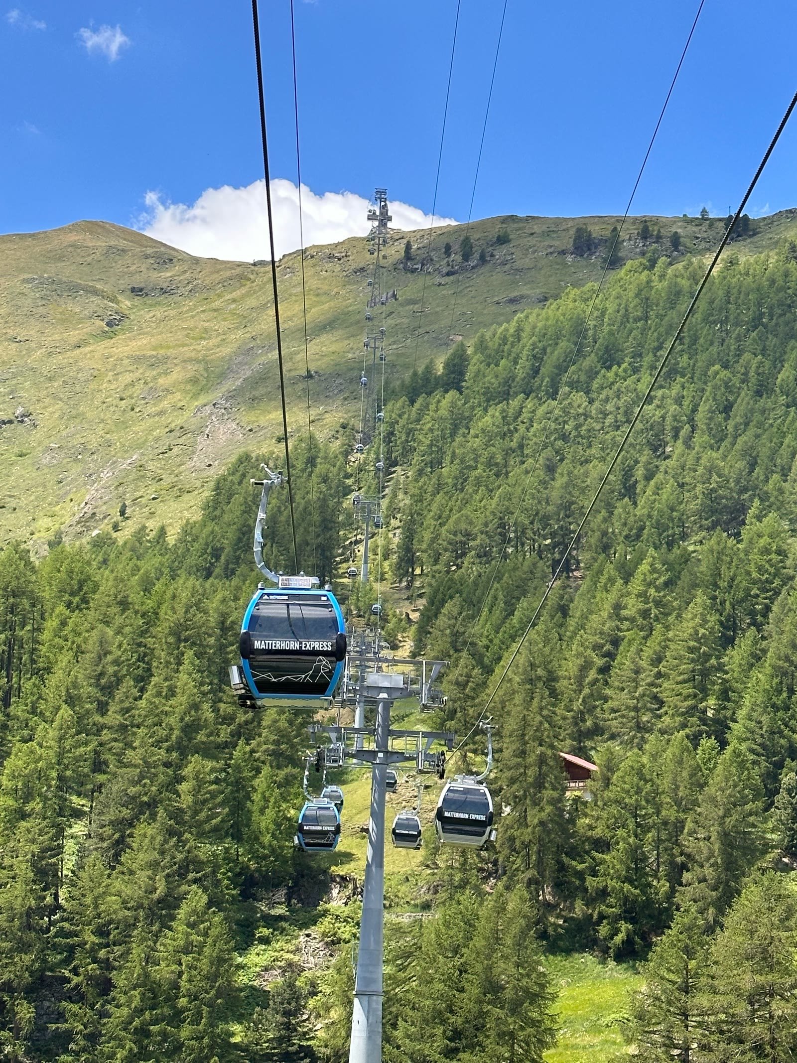 Matterhorn Express gondola ascending a forested mountainside