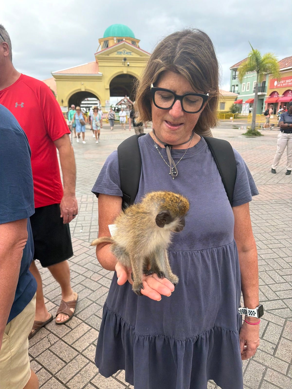 Holding a small monkey at Port Zante in St. Kitts