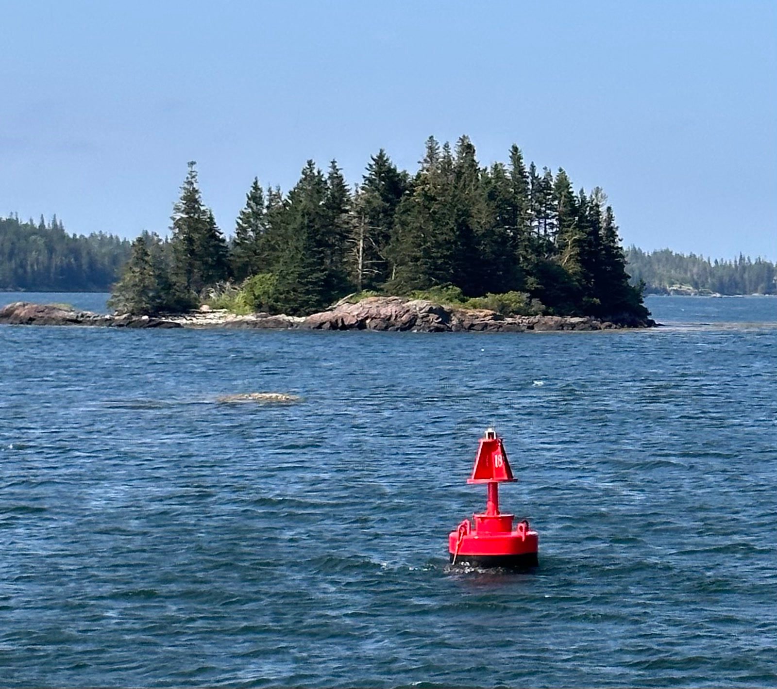 Red navigational buoy and evergreen island on the Maine coast