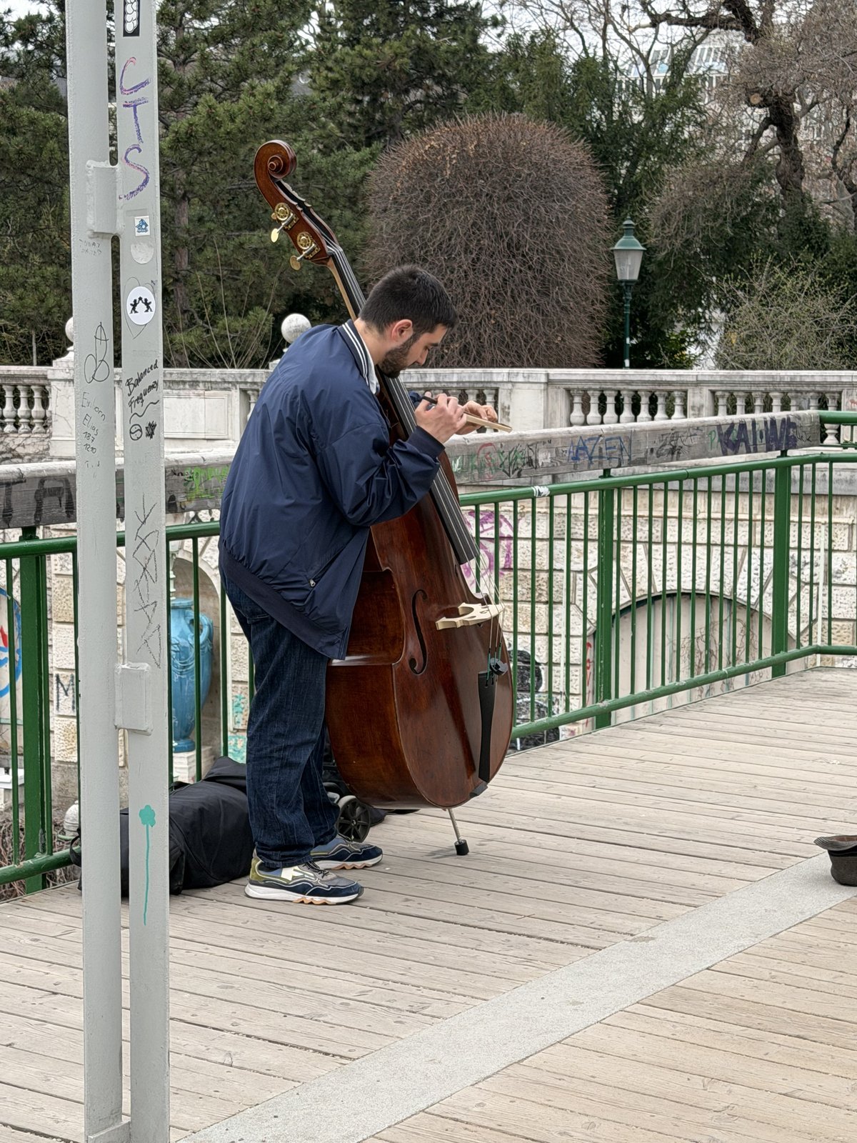 Street musician playing double bass in Vienna